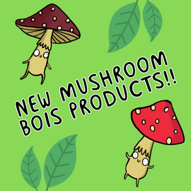 New Mushroom Bois hair ties and pencil cases