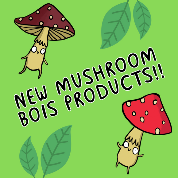 New Mushroom Bois hair ties and pencil cases