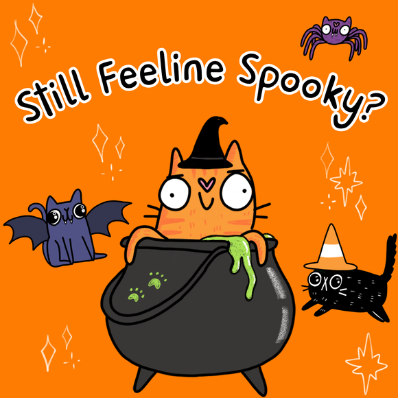 Still Feeline Spooky?! 🐈‍⬛🎃🦇🕷️✨