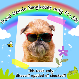 a graphic with a blue background, a rainbow and various Katie Abey character illustrations. brian a Brussell griffon dog with longish ginger hair is wearing rainbow proud weirdo sunglasses