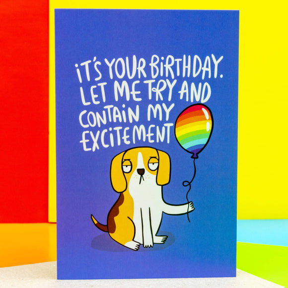 A floppy eared beagle dog on a blue A6 card holding a rainbow balloon looking very unenthusiastic with text saying 'it's your birthday let me try to contain my excitement' it is sat on its envelope and against a primary coloured background