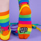 socks in rainbow colours designed by Katie Abey featuring a green cat holding a sign saying 'cock womble' on the front