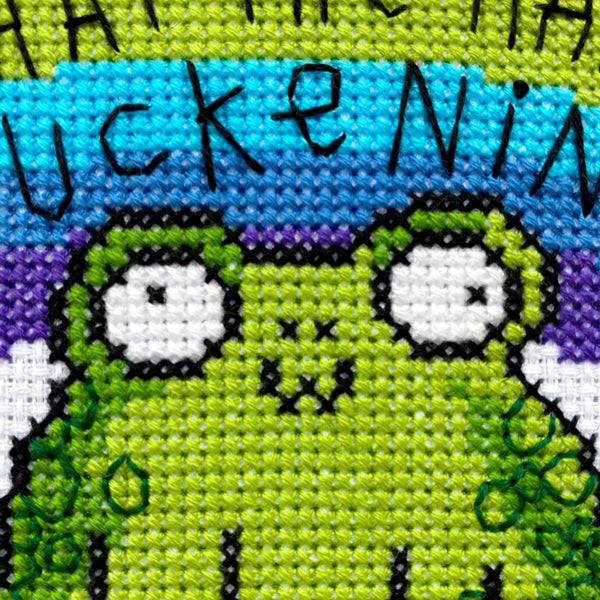 Close up of the I Have No Idea Frog Cross Stitch Kits. The white cross stitch fabric with light wood circle frame has a stitched rainbow across the middle with black stitched text reading 'I have no idea what the hap is fuckening' with a cross stitched smiling green frog underneath.