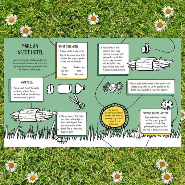 An activity on making an insect hotel spread across two pages of the Be Green Activity Book illustrated by Katie Abey. The book is laid on some grass amongst daisies.