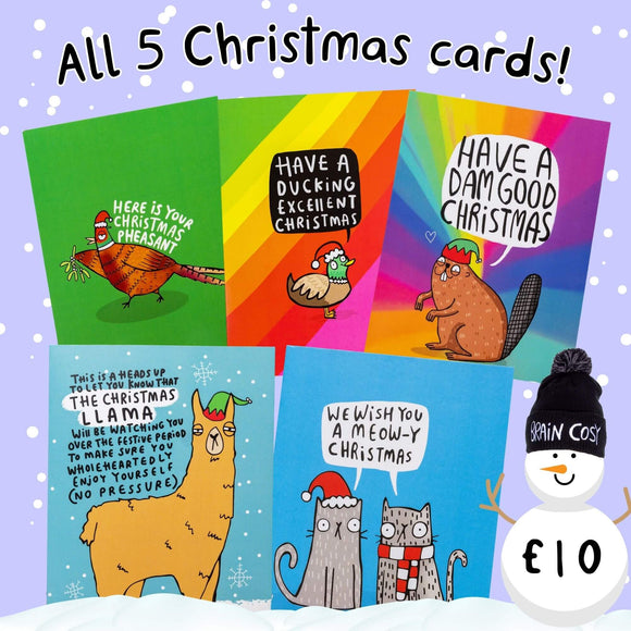 Image of a set of five colourful Christmas cards from Katie Abey, displayed against a snowy background. Each card features a different animal with a humorous Christmas message. From left to right: a pheasant with the text "Here is Your Christmas Pheasant," a duck with "Have a Ducking Excellent Christmas," a beaver with "Have a Dam Good Christmas," a llama with a message about the "Christmas Llama" watching you, and two cats wishing "A Meowy Christmas." A snowman wearing a "Brain Cosy" hat shows the discount