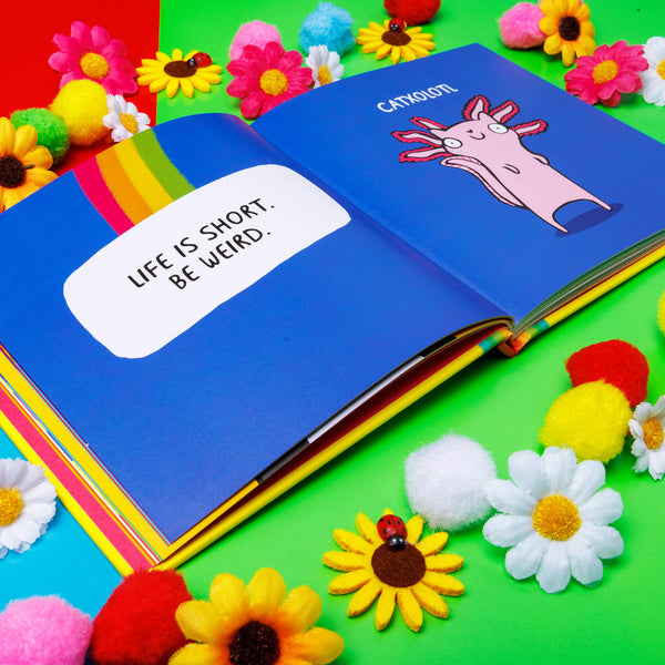 The Cattitude Book illustrated by Katie Abey. The book is open to reveal two blue pages one has a rainbow and text saying LIFE IS SHORT BE WEIRD. The other page has an illustration of a catxolotl. The book is laid on a coloured background amongst pom poms and flower decorations. 